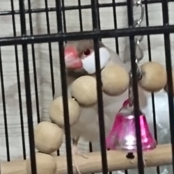 「元気」サムネイル3