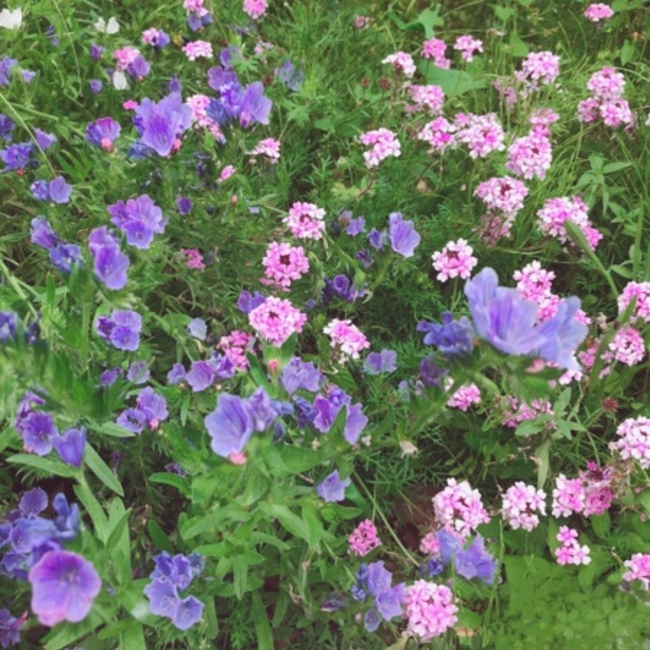 まさたんたんのカバー写真
