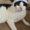 さかいもとひろ