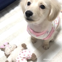 うる