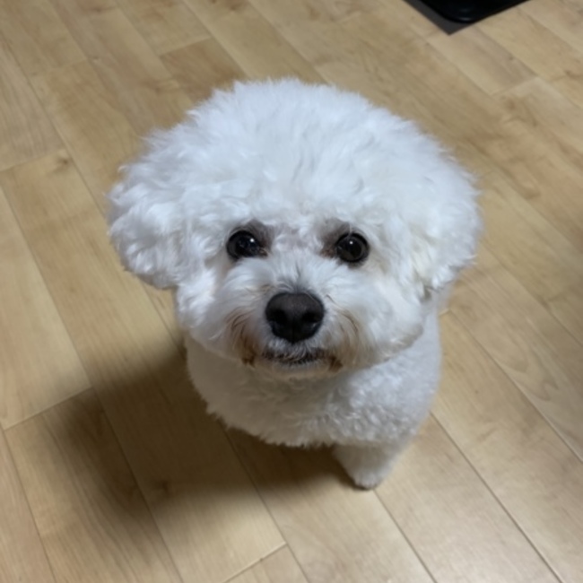 MiuRanのカバー写真