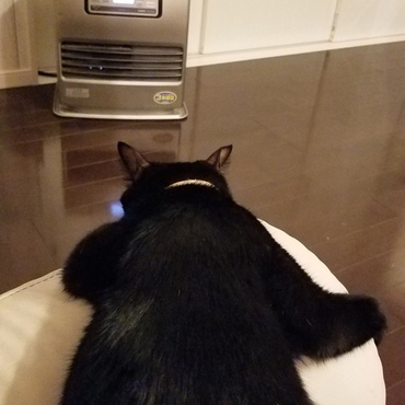 あったかいにゃ～