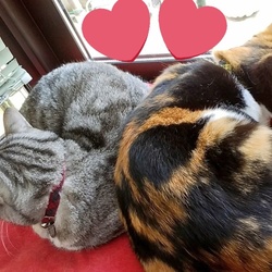 仲良し(*^o^)／＼(^-^*)