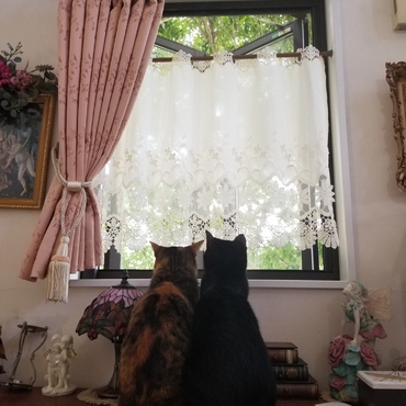 いい天気ね～　本当ね～(女子会中)