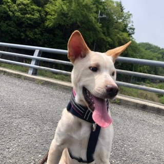 凛々しく賢いイケメンしゅうじ