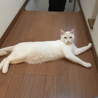 寿之助
