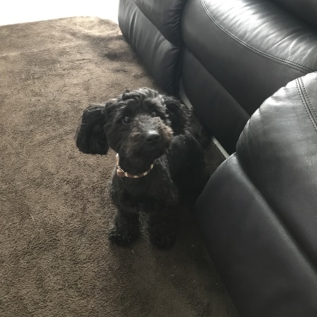 yoooosanのカバー写真