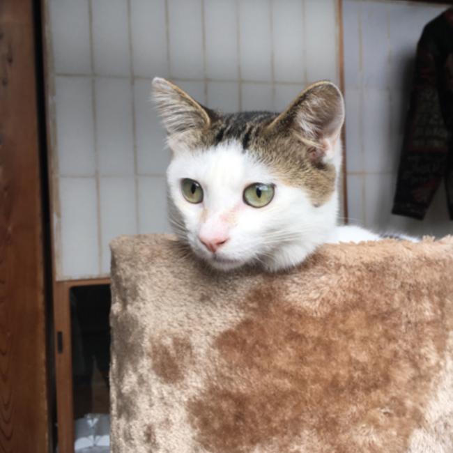 ケンタロウ0325のカバー写真