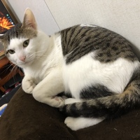 れお
