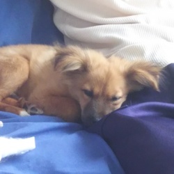 「TVを見て」サムネイル2