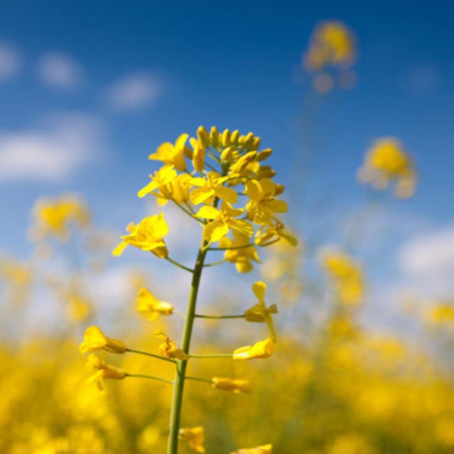 HIROKO 0116のカバー写真