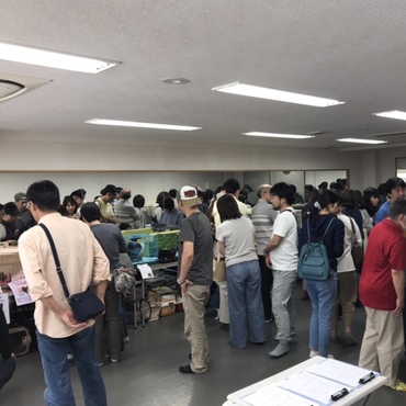 第１２回ねこの譲渡会