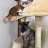 みみ&ちゃちゃ