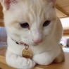 の写真