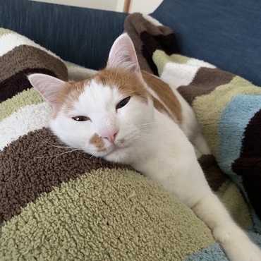 No.25 家族になって１年。これからもよろしくね︎︎︎︎︎☺︎