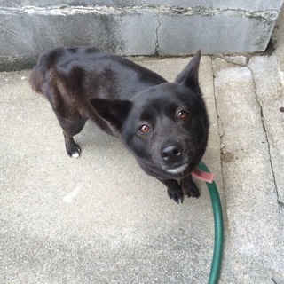 出会ったばかりで、こんな顔みせるくらい人懐っこい