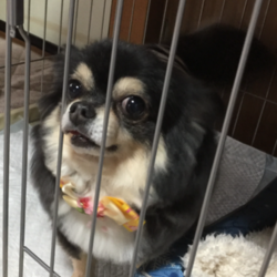 田舎でのんびり