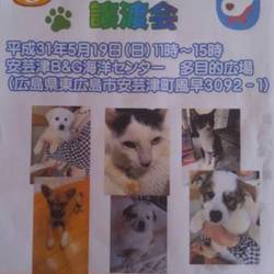 保護犬猫の譲渡会