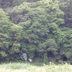 ロングリード☆リメイク