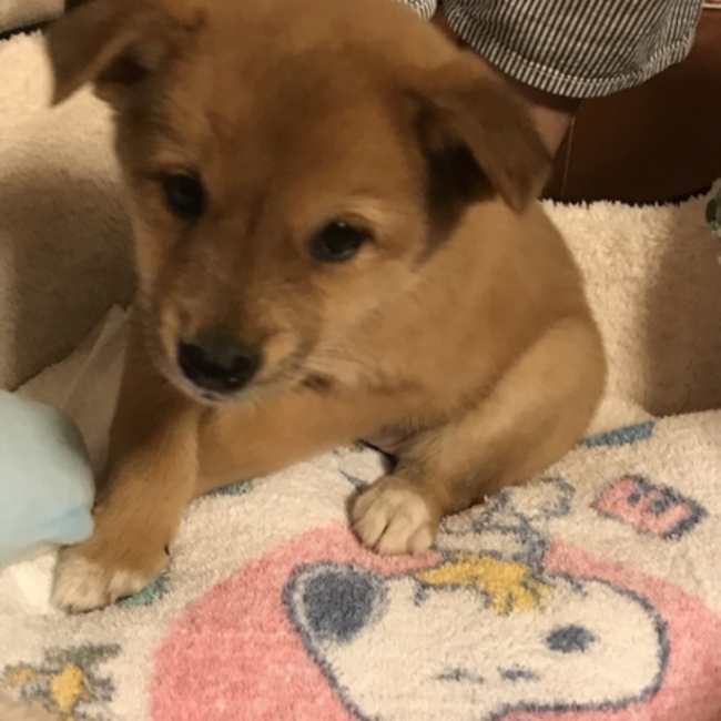 みゆともりゅうのカバー写真