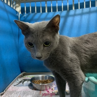 tsuyuzaki0724 さん