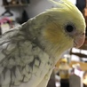 まーりん♪