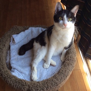 元気いっぱい遊び盛りで甘えん坊