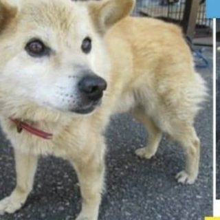 一応  繋がりそうです、ありがとうございますm