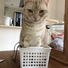 まるリオ