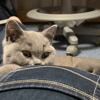 募集多数の為、一旦終了させて下さい