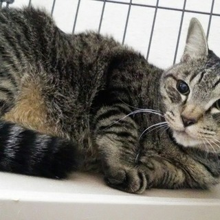 心を閉ざしてしまった男の子　うーちゃん