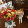 わたし、花梨はお花が好きなんです。