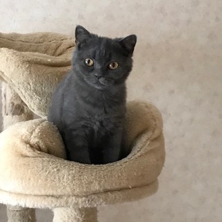 癒し系の性格花丸の男の子です。