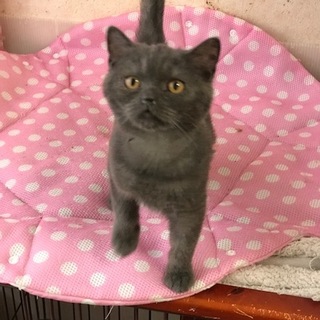 マイペースで穏やかな男の子