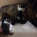 ４匹産まれました