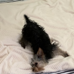 「うん○あるある」サムネイル1