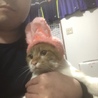 ふくだてつや