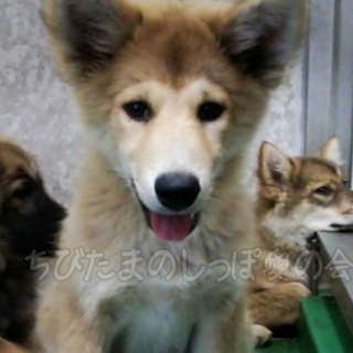 直接お迎えのご家族さまのもとへ！