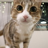 の写真