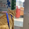 実家帰り、妹待ち