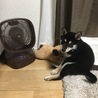 遊んだあとの一休み