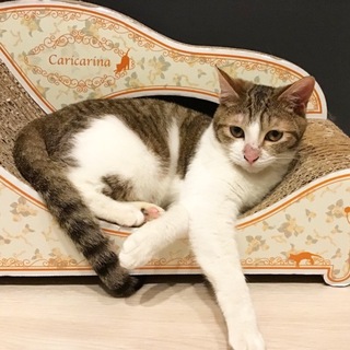 【雄太】元気な男の子、あざとい事もできます！