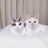 フチ&ブチ さん