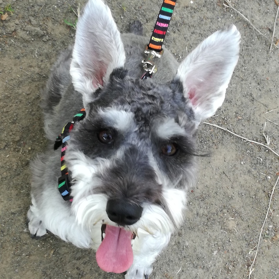 フアナのカバー写真