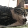 わ た な べ