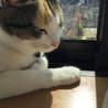 あゆっちち