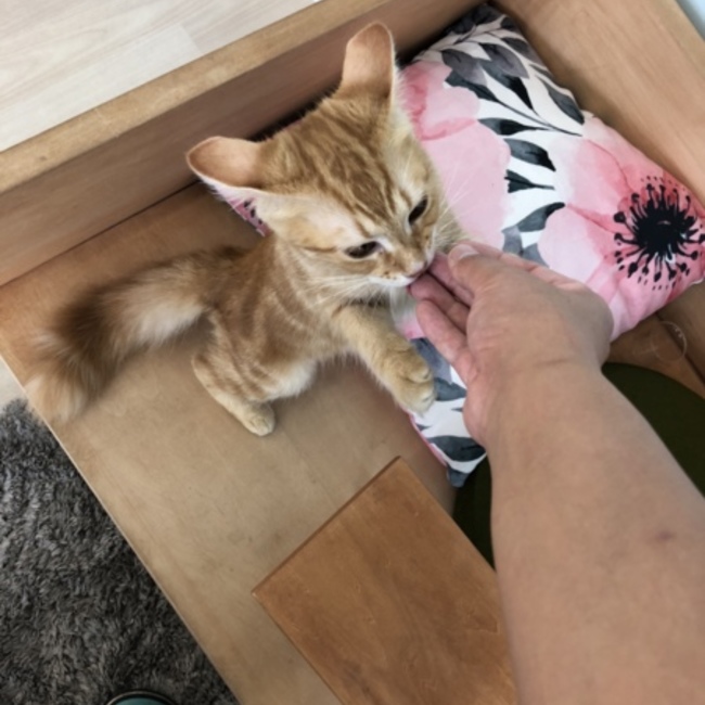 あゆっちちのカバー写真