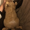 の写真
