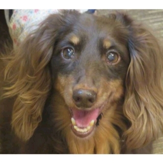 「イール」甘えん坊で穏やかな性格。