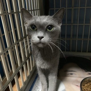 あやあやの さんお迎え予定